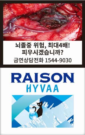 레종 휘바(해외파병용)(180840) 제품 이미지